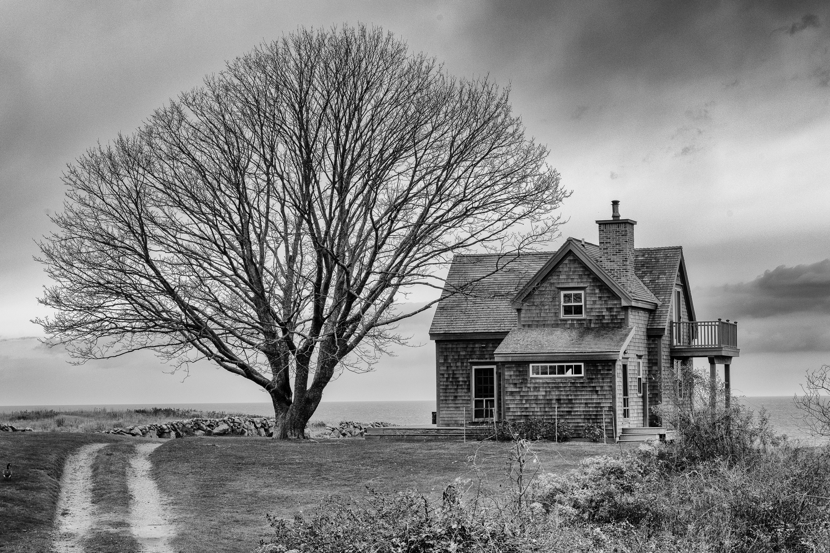 1st PrizeOpen Mono In Class 3 By Leon Smith For Block Island Windswept House APR-2026.jpg